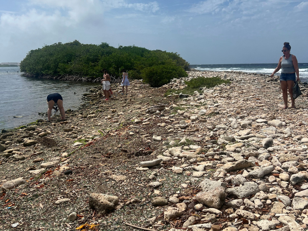 Sea Glass Tours Aruba Powered by Tranquilo Charters N.V.-萨瓦内塔必去景点