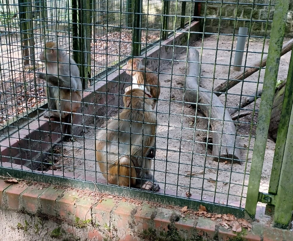 Tierpark-Perleberg必去景点