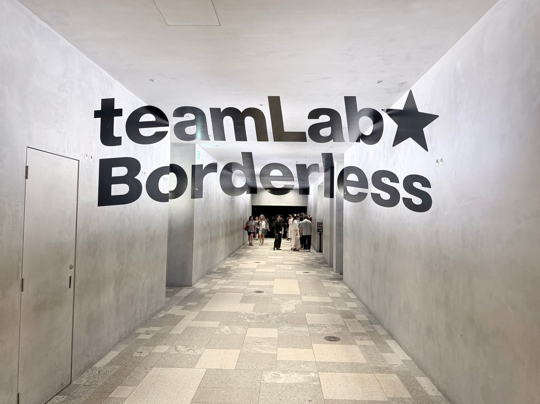Teamlab Borderless Tokyo-港区必去景点