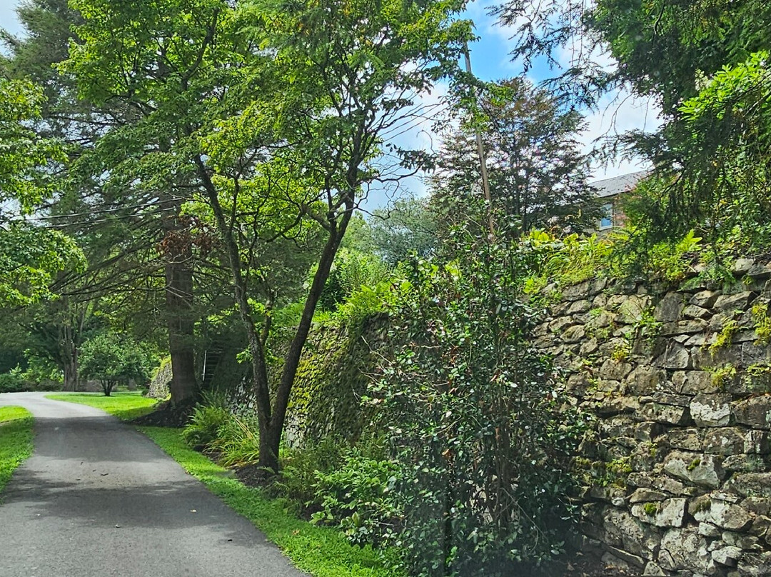 Wilson's Mill-Darlington必去景点