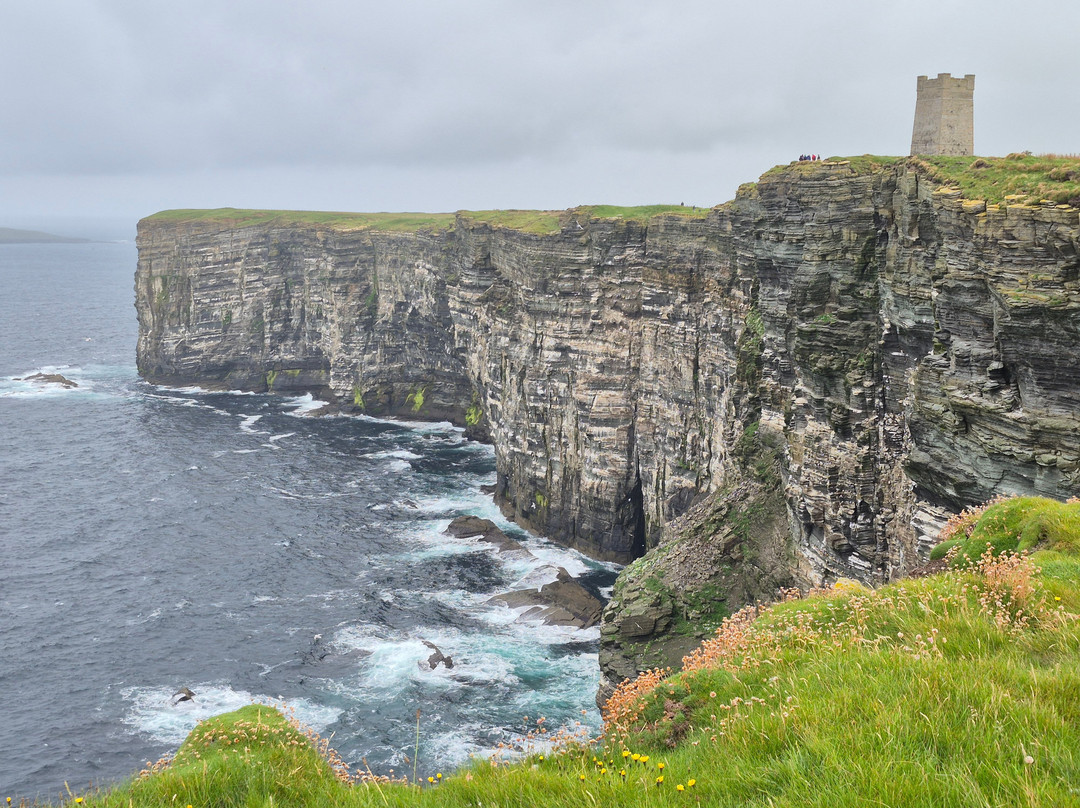 Wild Orkney Walks-Stromness必去景点