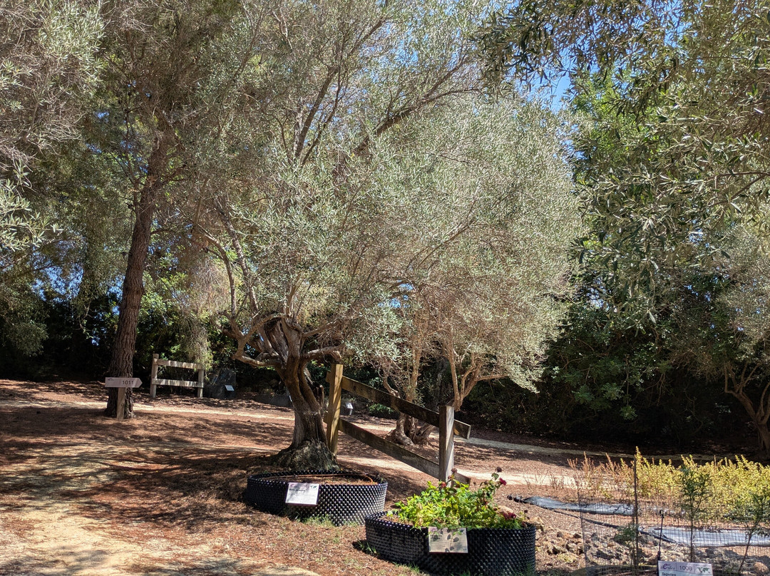 Botanical Garden Ecoherbes Park-L'Ampolla必去景点