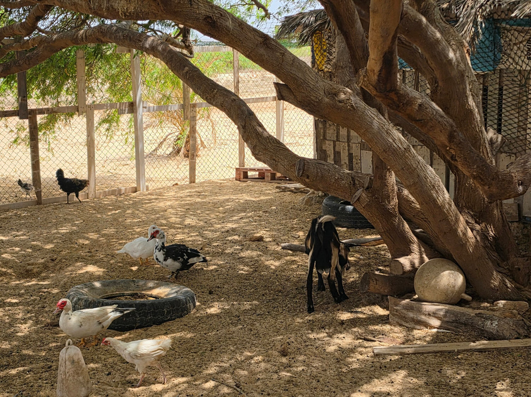 Baobab Tour Private Tours-萨尔雷必去景点