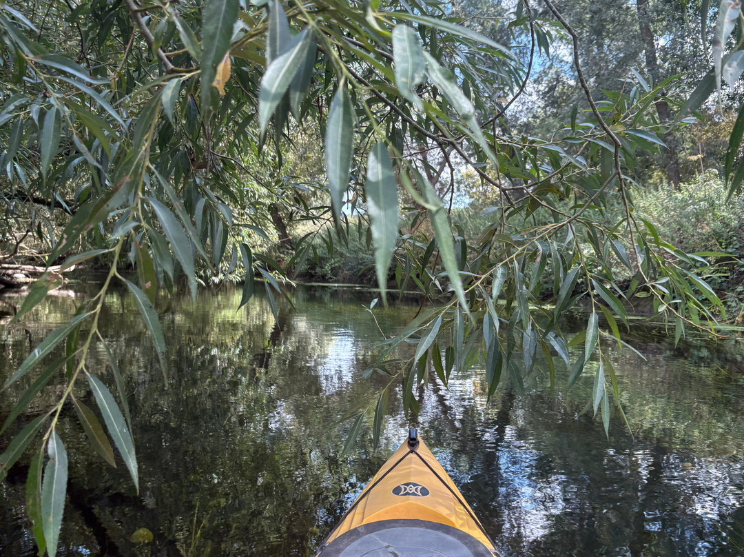 Canoe Wild-坎特伯雷必去景点