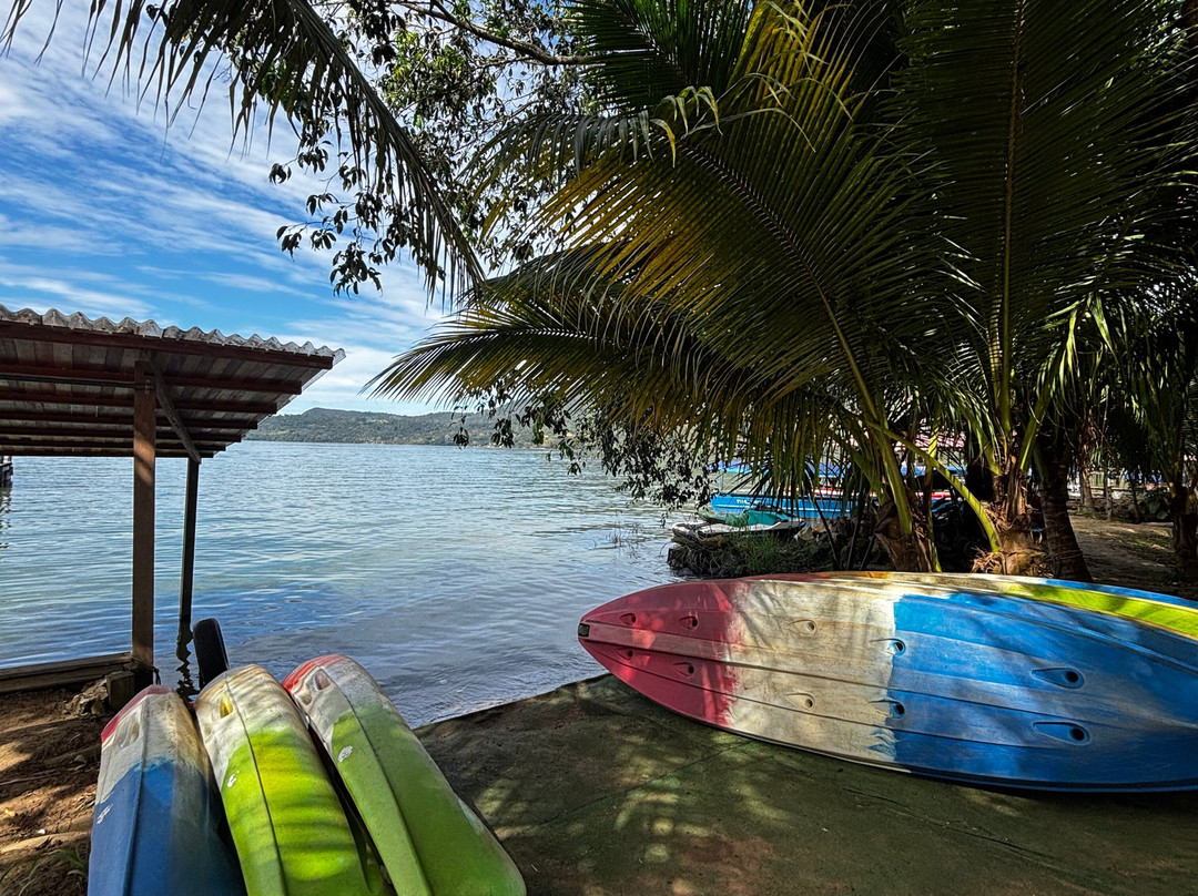 Las Hamacas Hotel主图