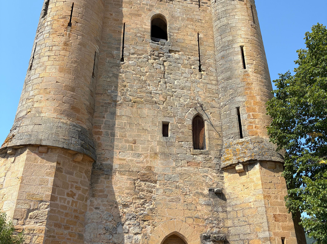 Chateau d'Arques-Arques必去景点