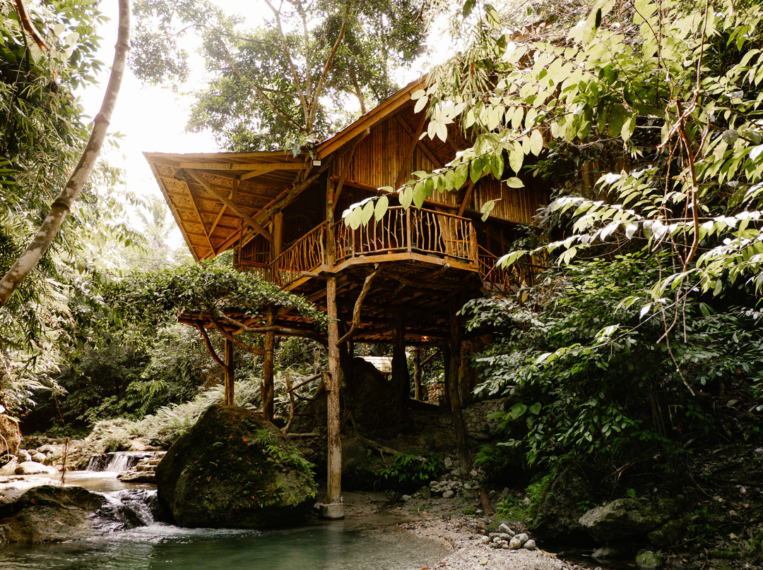 Treehouse de Valentine
