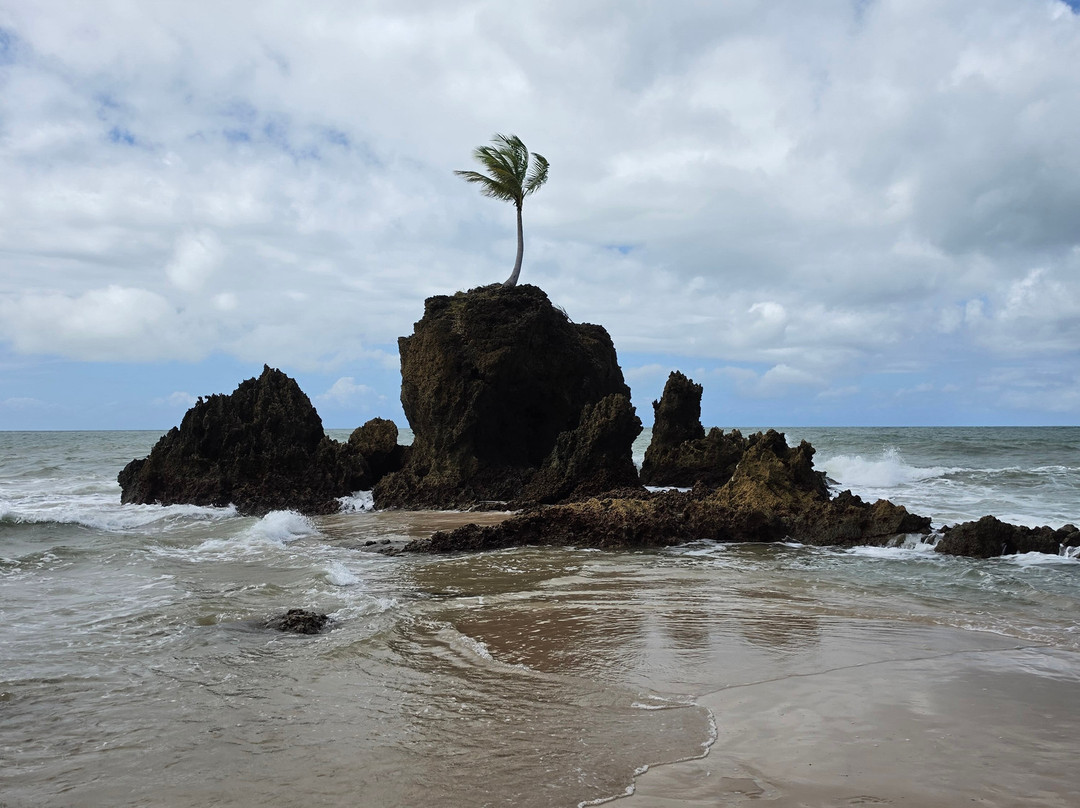 Praia de Tambaba-Conde必去景点