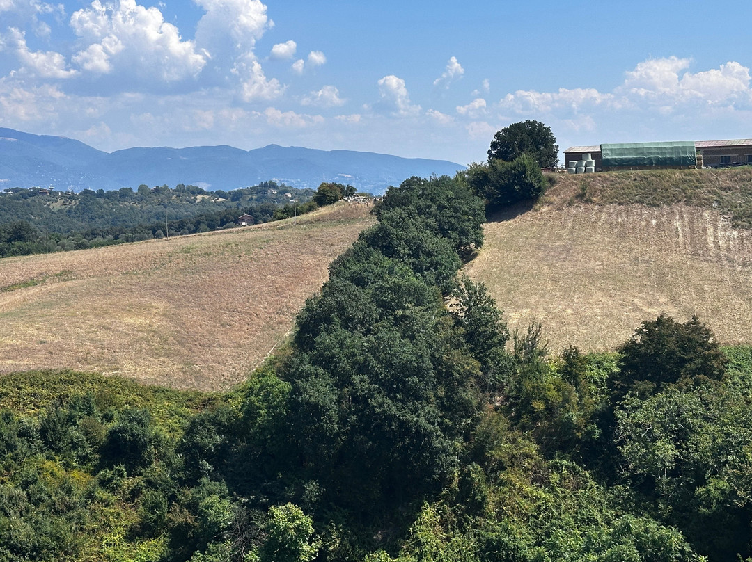 Azienda Agricola Fratelli Capretti & Figli