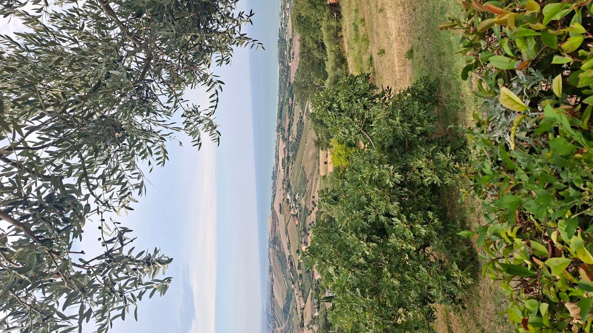 卡萨帝勒提旅馆-旅行者