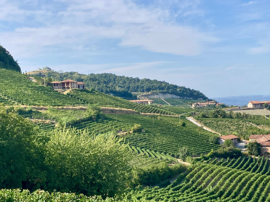 Azienda Agricola Rocca Giovanni-蒙福特-达尔巴必去景点