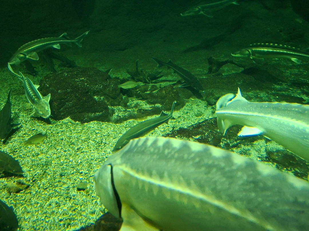Tisza-tavi Okocentrum-Poroszlo必去景点