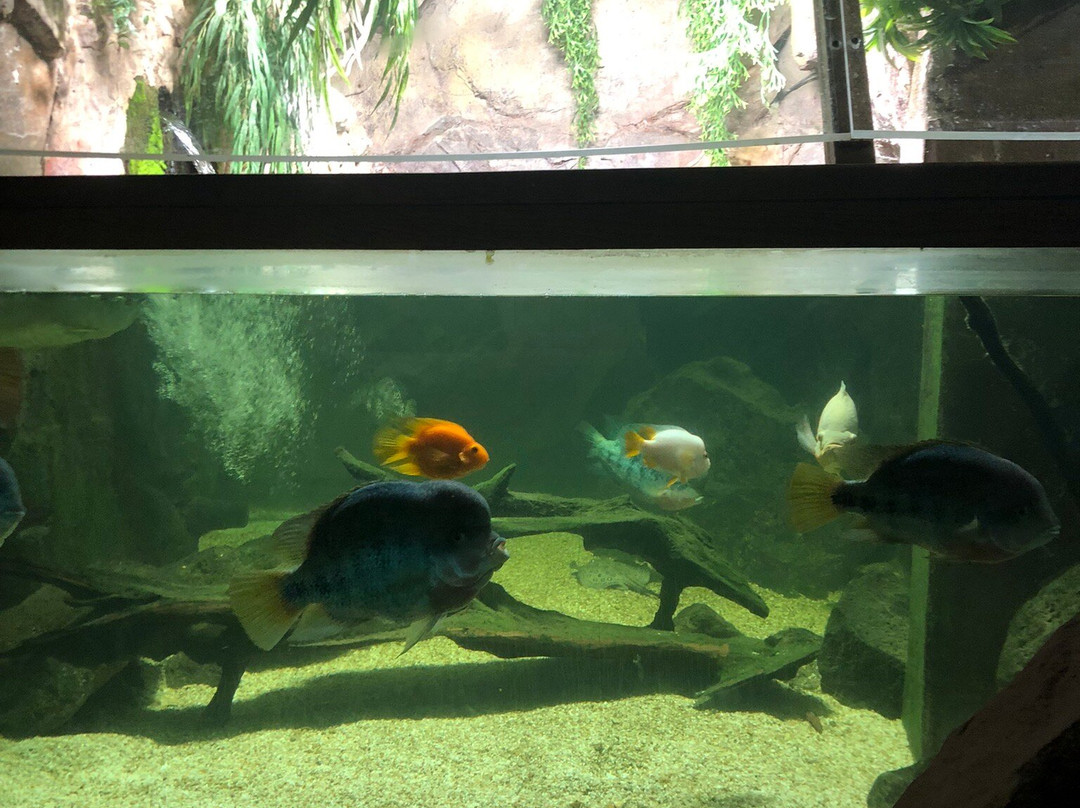 Aquarium De Touraine-Lussault-sur-Loire必去景点