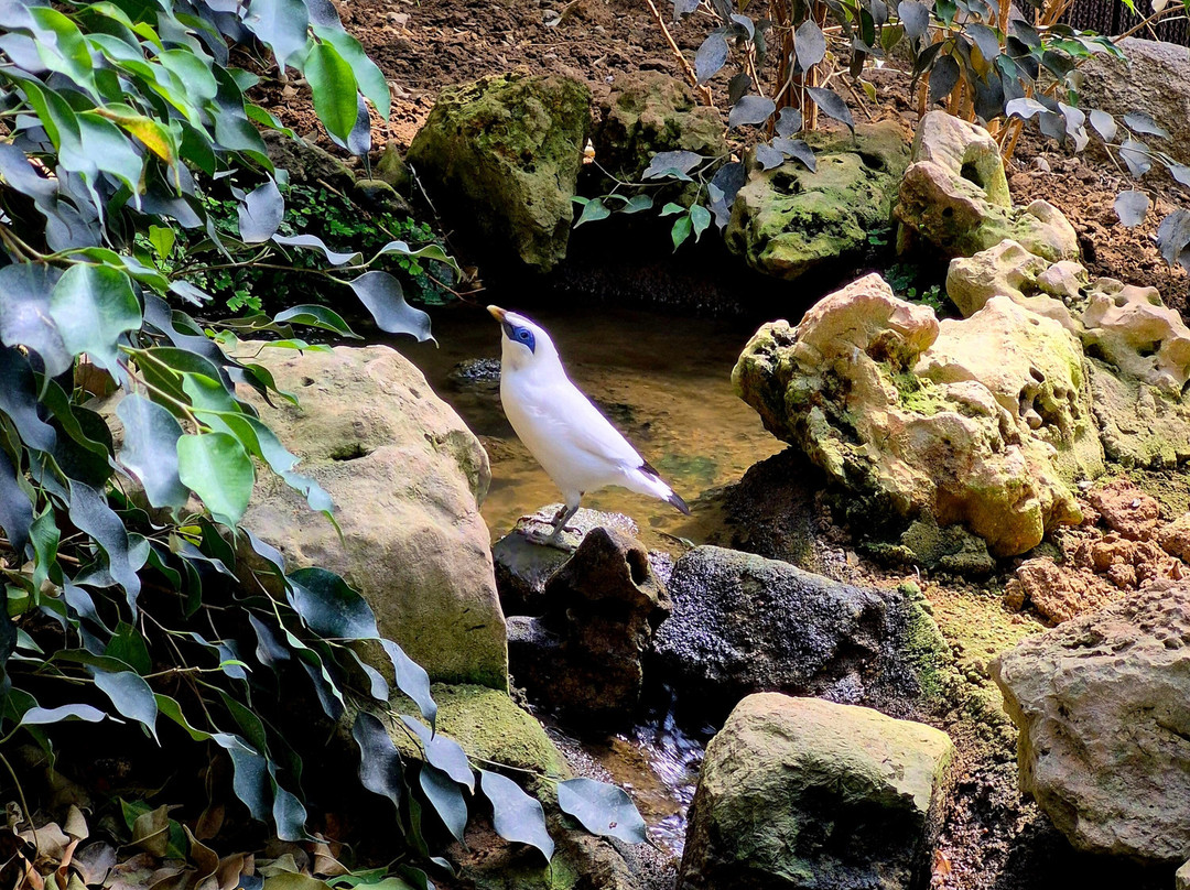 Butterfly Park-Castello d'Empuries必去景点