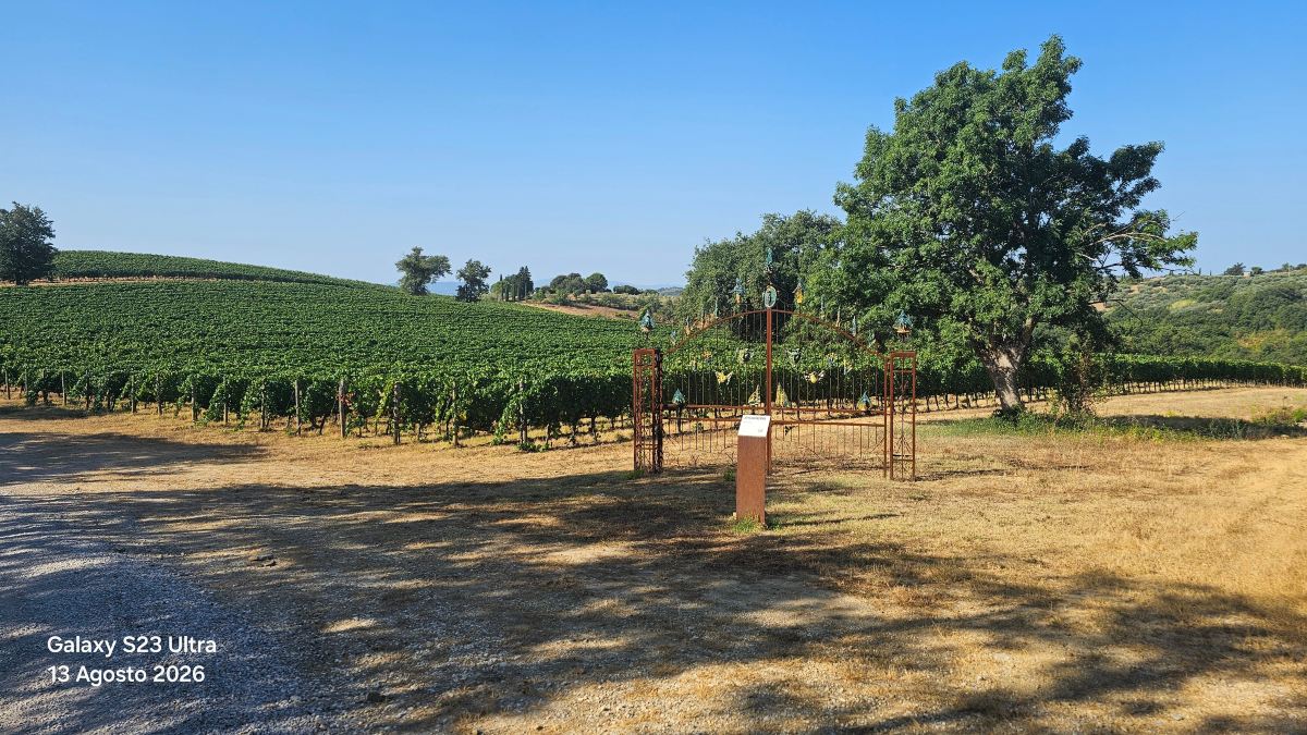 Terenzi Hospitality & Wine-旅行者