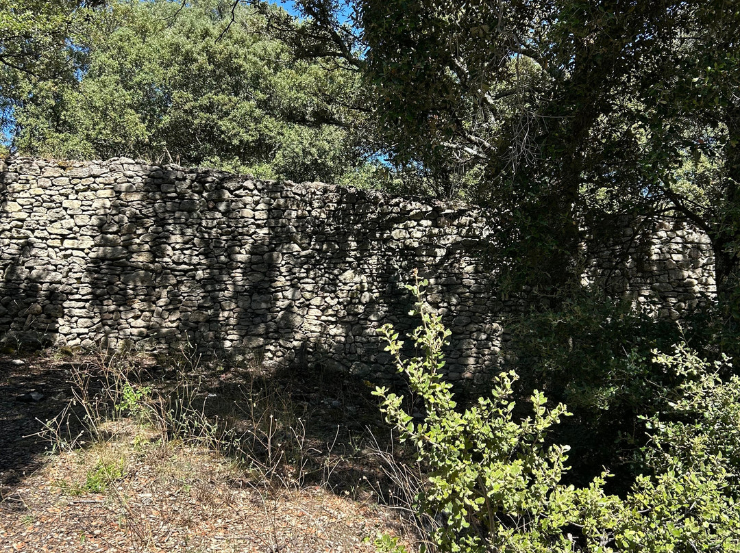 Abbaye Notre Dame de Ganagobie-Forcalquier必去景点