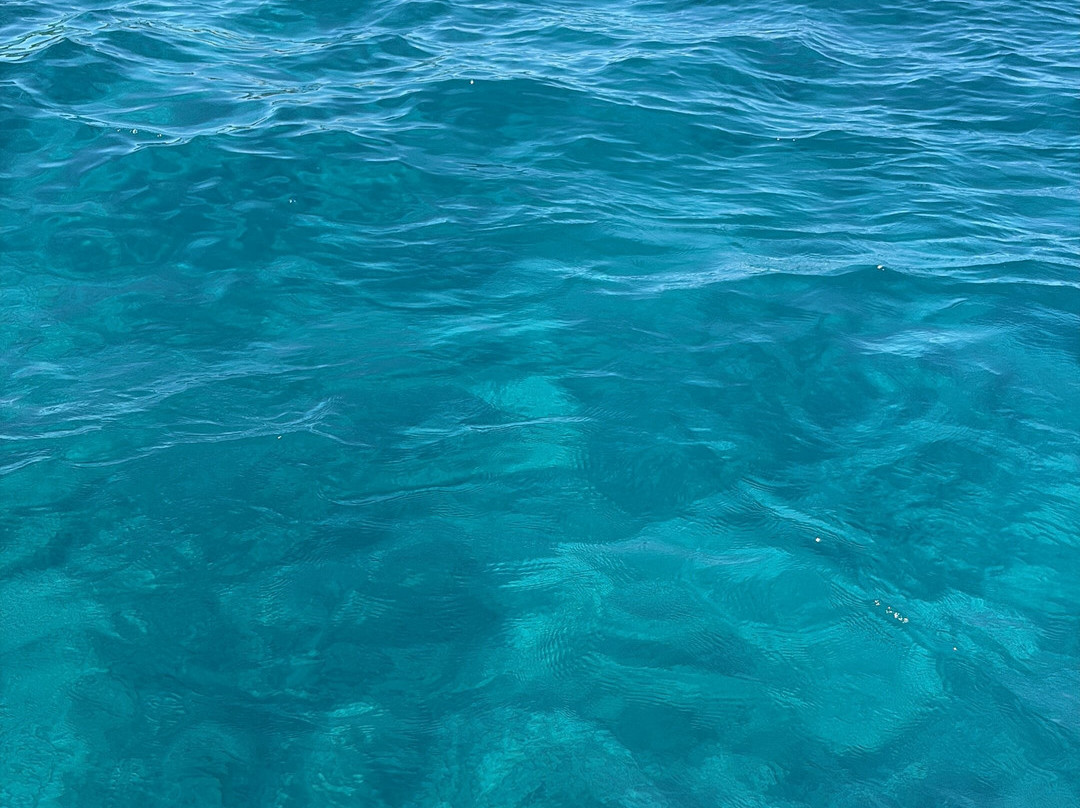 Aqua Element Diving-San Giorgio必去景点