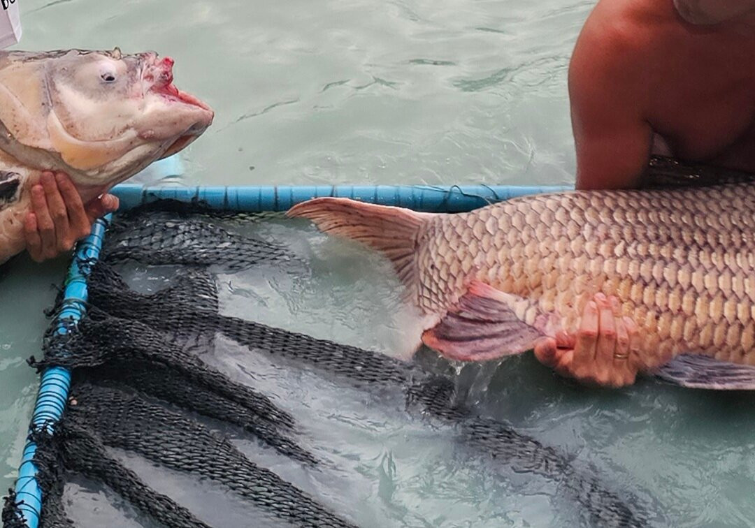 Samui Fishing Club And Resort-马叻必去景点