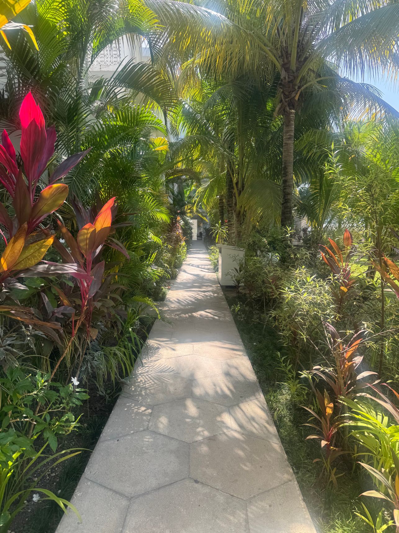 Skylark Negril Beach Resort-旅行者