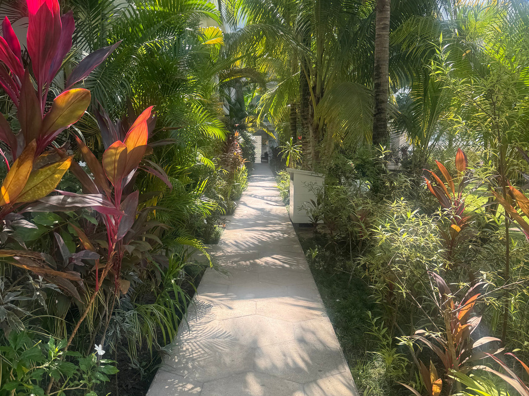 Skylark Negril Beach Resort主图