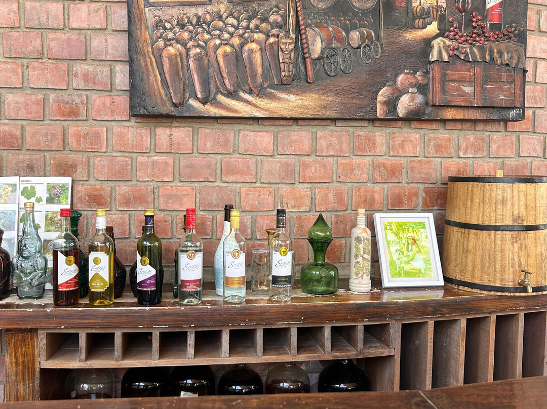 Bodega Y Viñedo Sotelo-伊卡必去景点