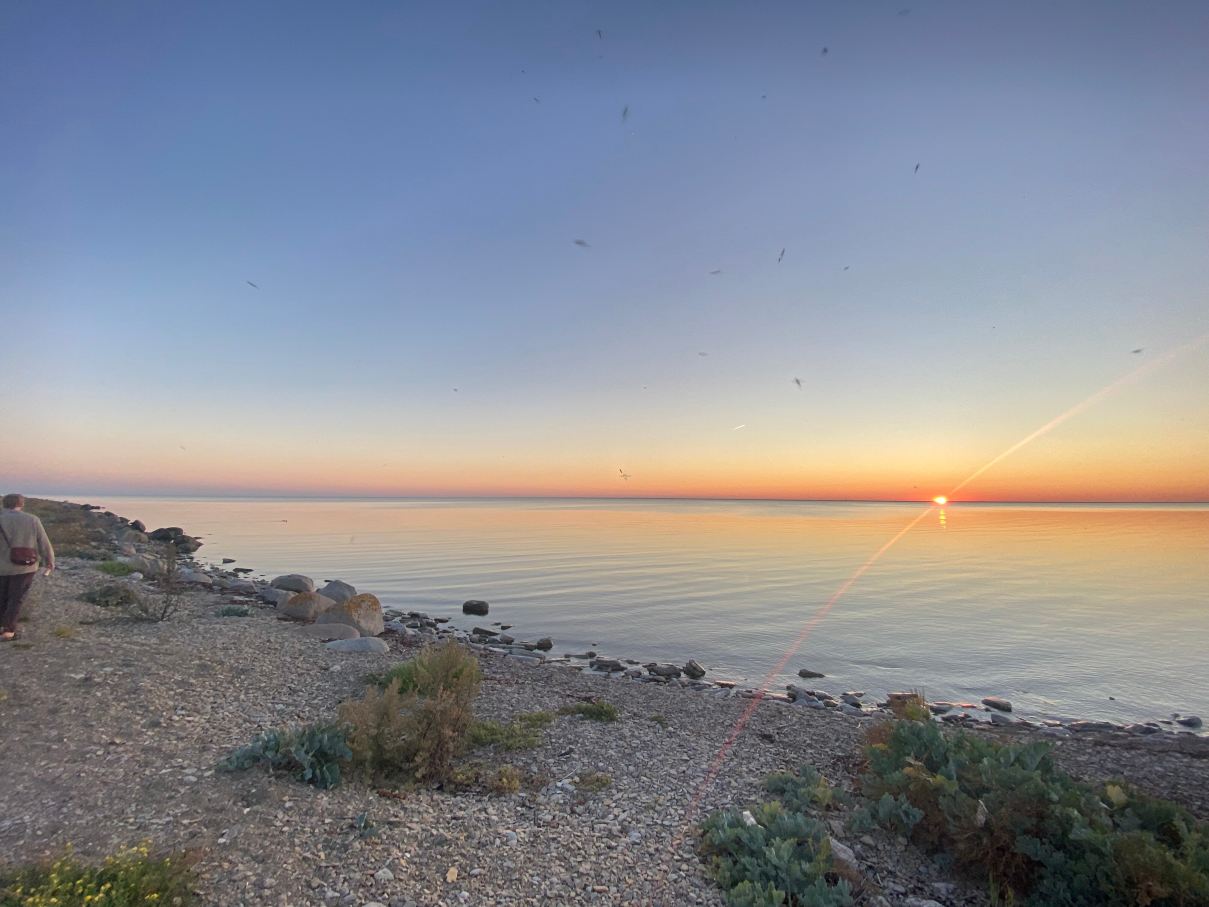 Brukshotellet Öland-旅行者