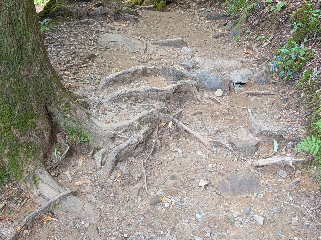 Grotto Falls Trail-大雾山国家公园必去景点