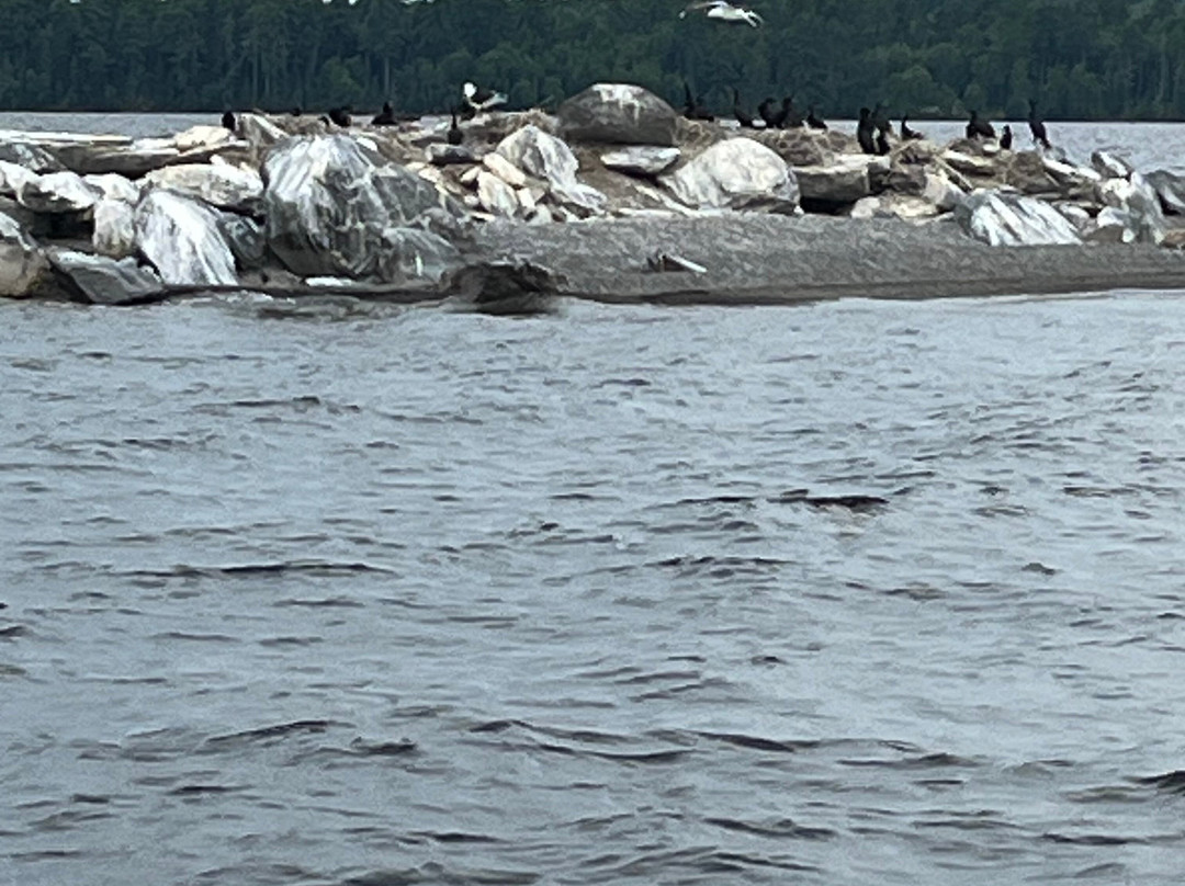 Capt Rogers Pontoon Boat Rental-Rockwood必去景点