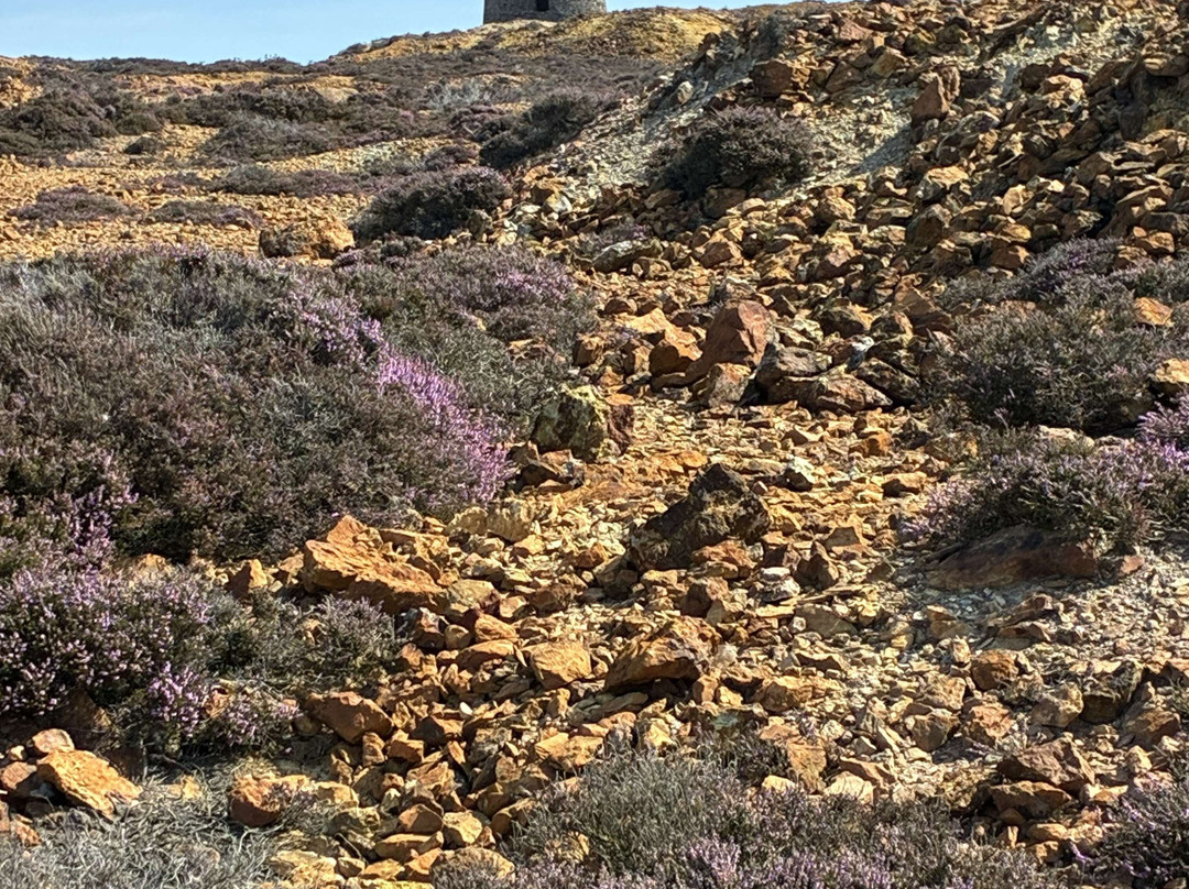 Parys Mountain-Amlwch必去景点
