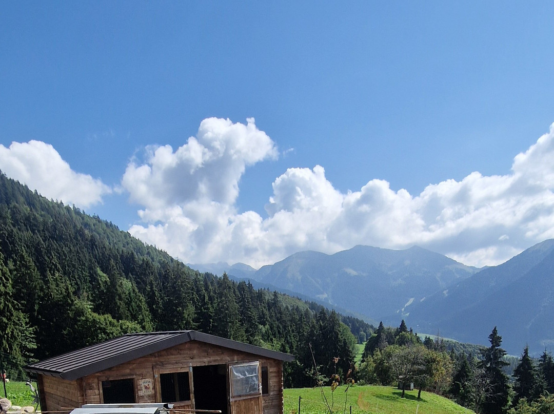 Agriturismo Ca' di Racc主图