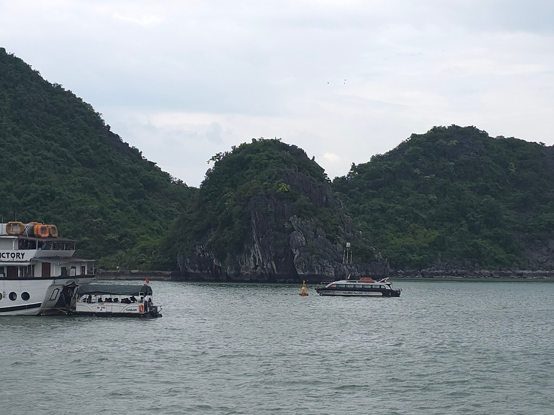 Victory Star Cruise-下龙湾必去景点