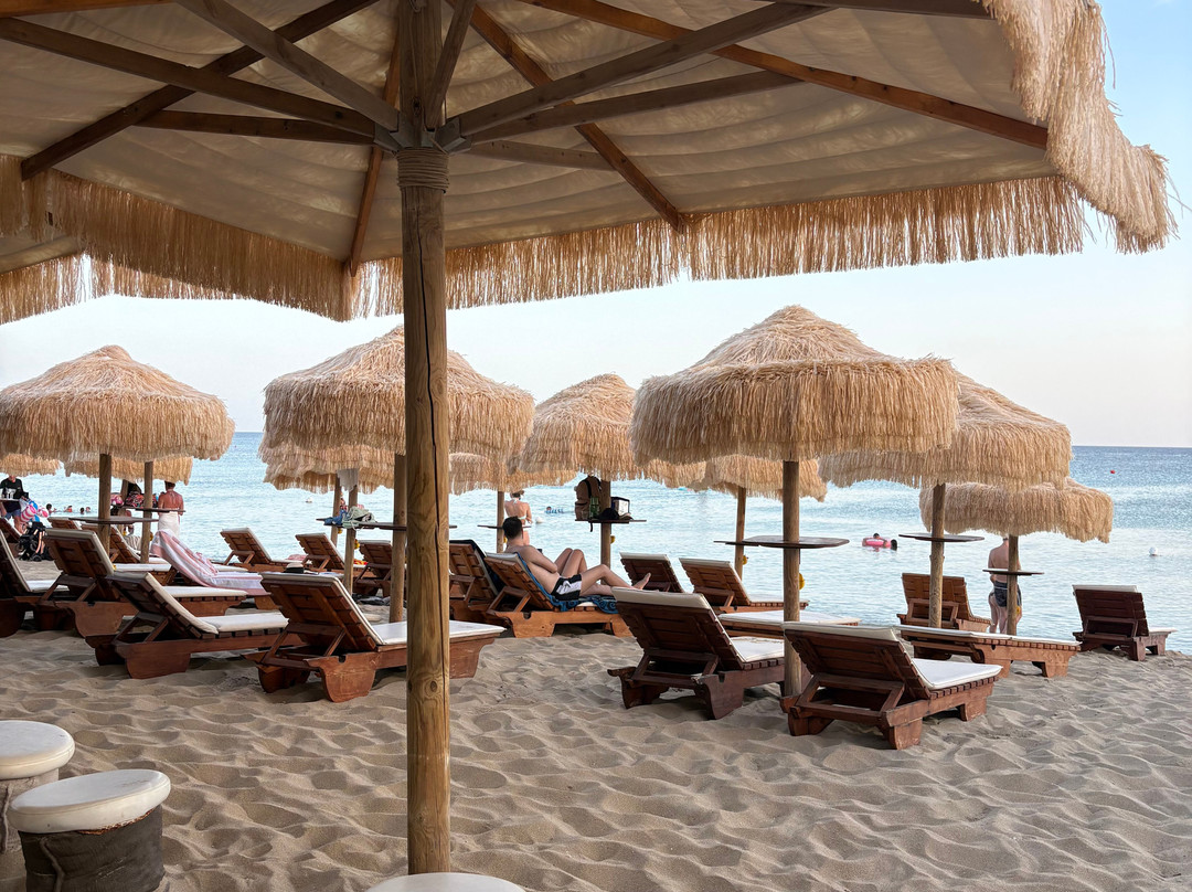 Samanà Beach-Punta Prosciutto必去景点