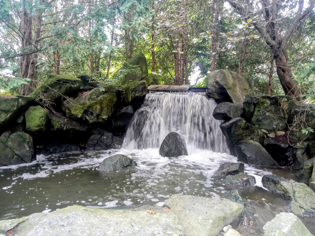 Japanese Garden - Szczytnicki Park-弗罗茨瓦夫必去景点