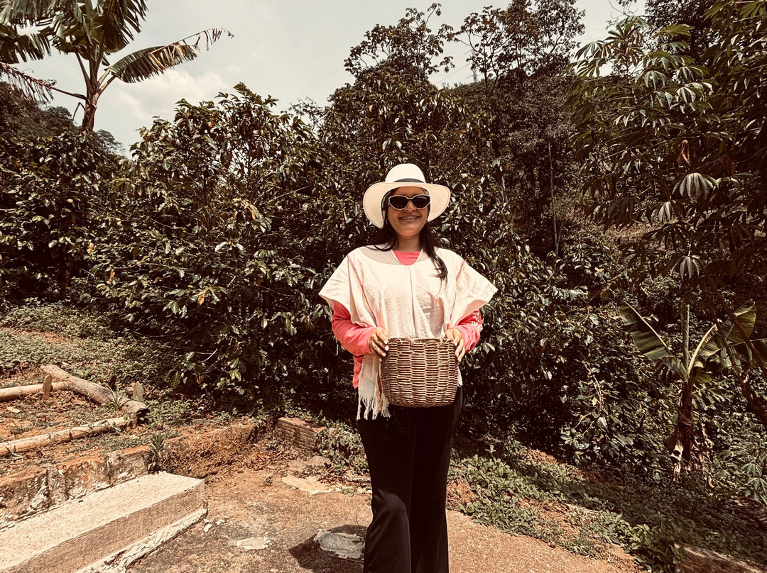 Finca Cafetera La Leona-麦德林必去景点