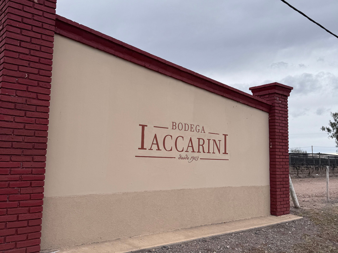 Bodega Iaccarini-圣拉斐尔必去景点