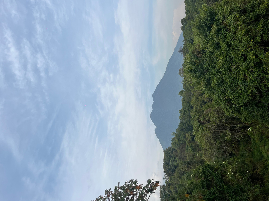 Mgahinga Gorilla National Park-Kisoro必去景点