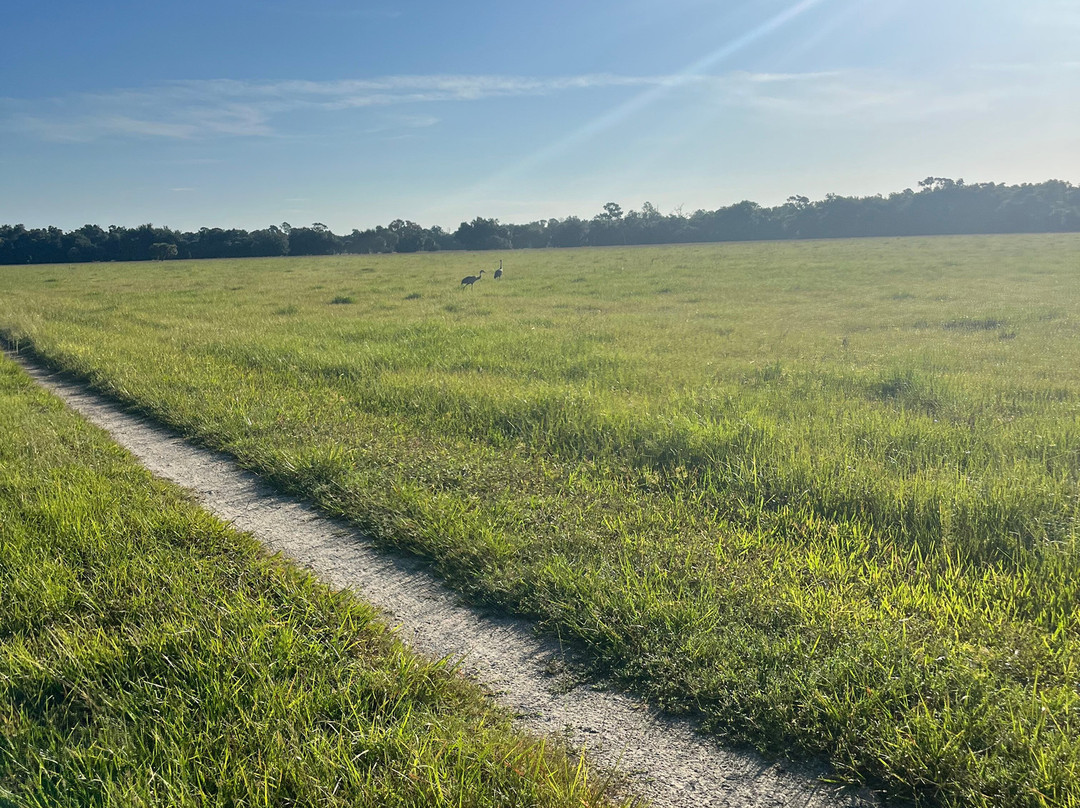 Walton Ranch Preserve-North Port必去景点