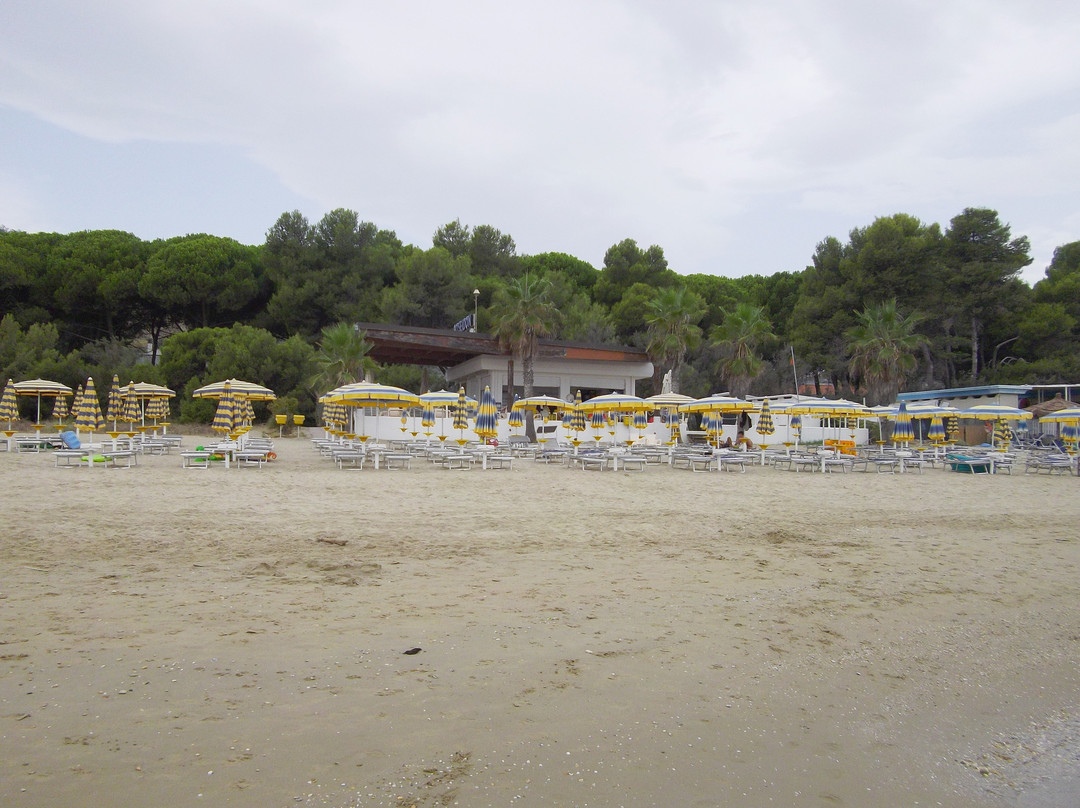 Camping Village Europe Garden