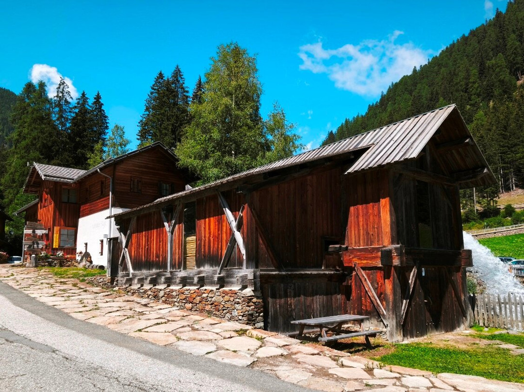 Ancient Larches of Val d'Ultimo Valley-Ultimo必去景点