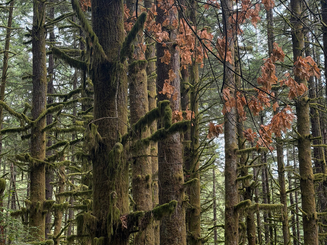 Lord Hill Regional Park-Snohomish必去景点