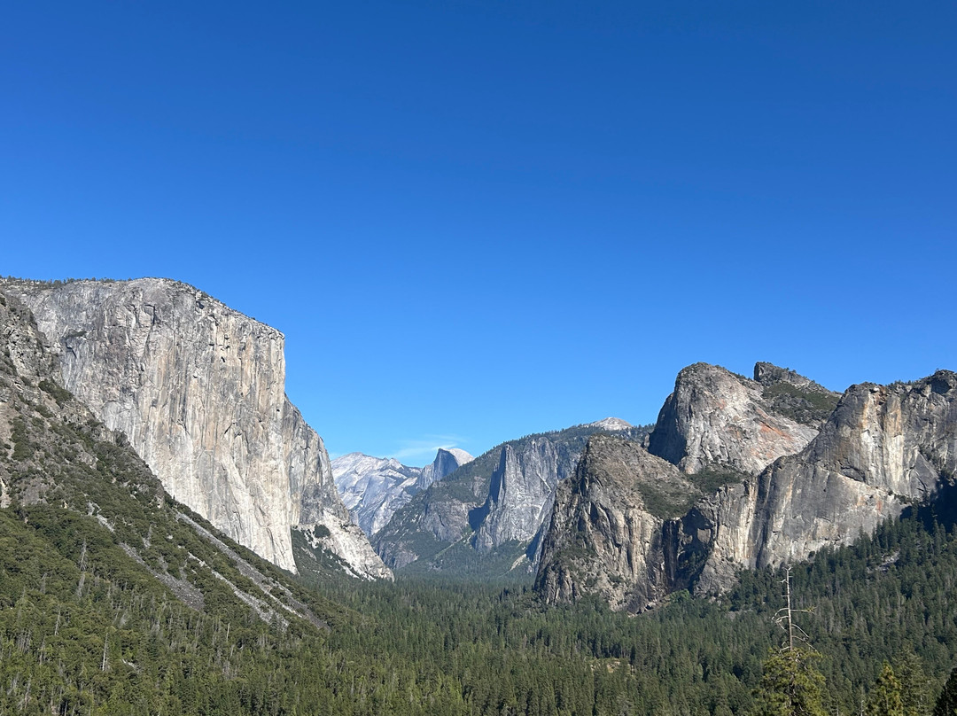 Yosemite 360 Tours-菲什营必去景点