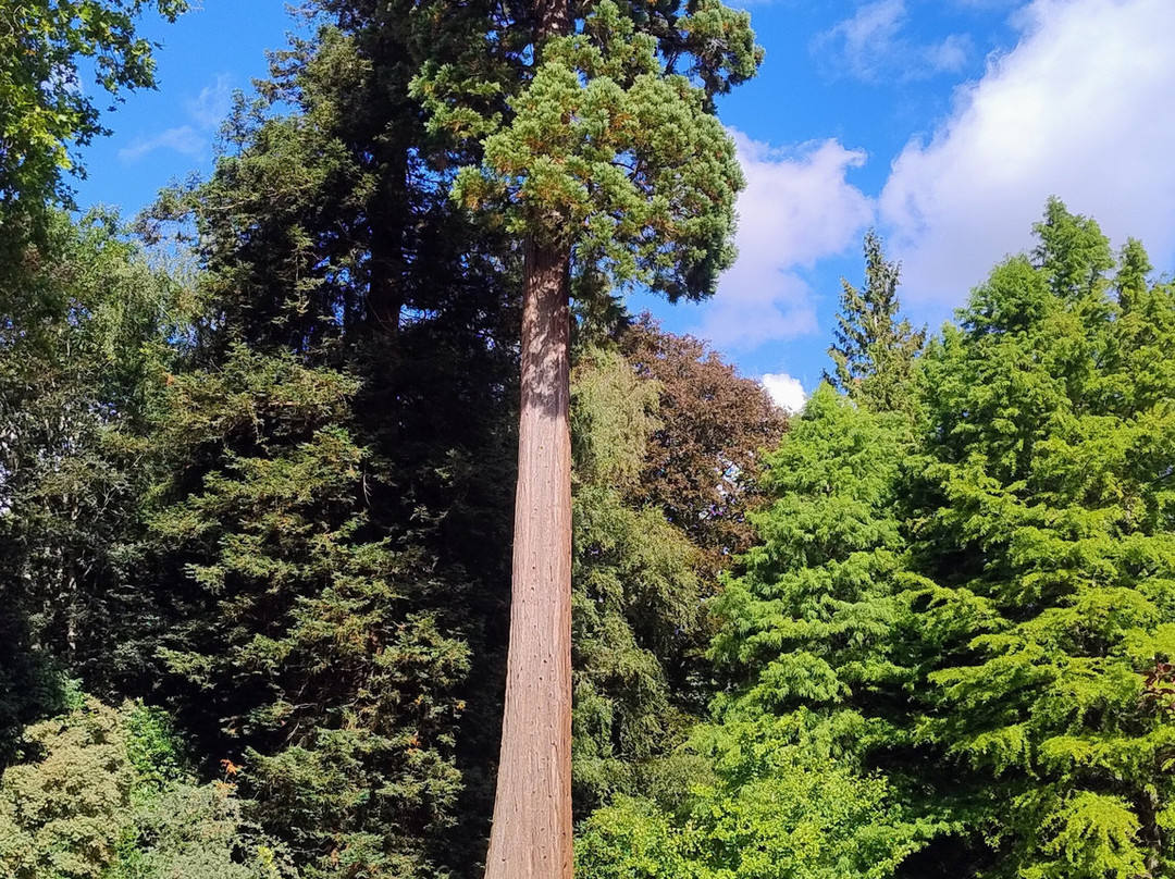 Scotney Castle Garden-Lamberhurst必去景点