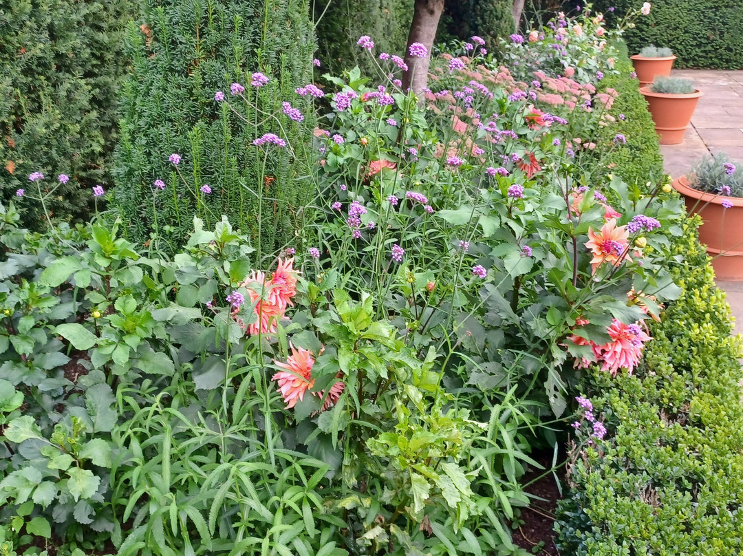 Hampton Gardens-Hope Under Dinmore必去景点