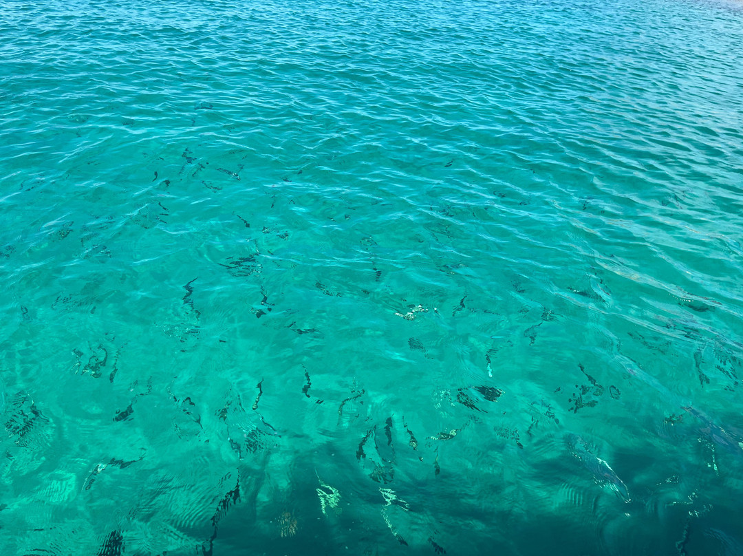 Zulu Beach-San Teodoro必去景点