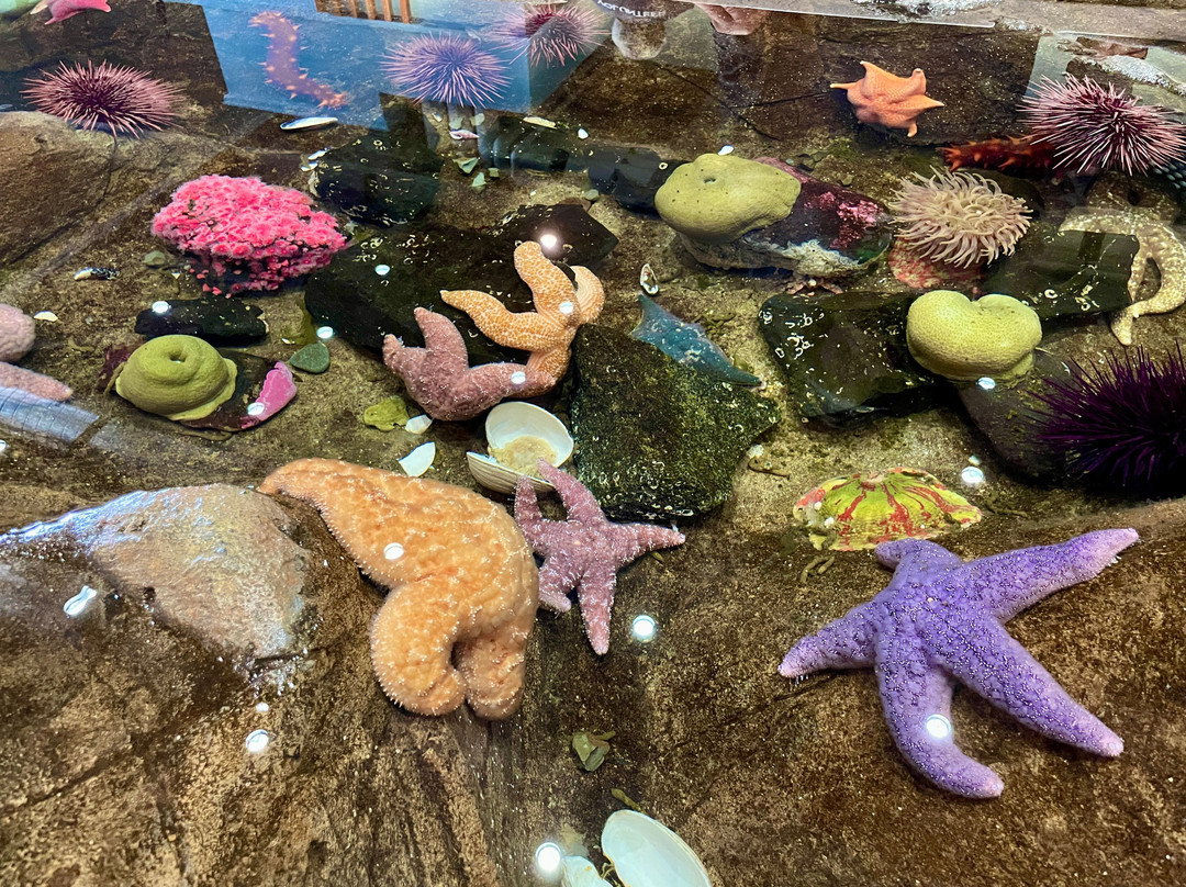 Oregon Coast Aquarium-纽波特必去景点