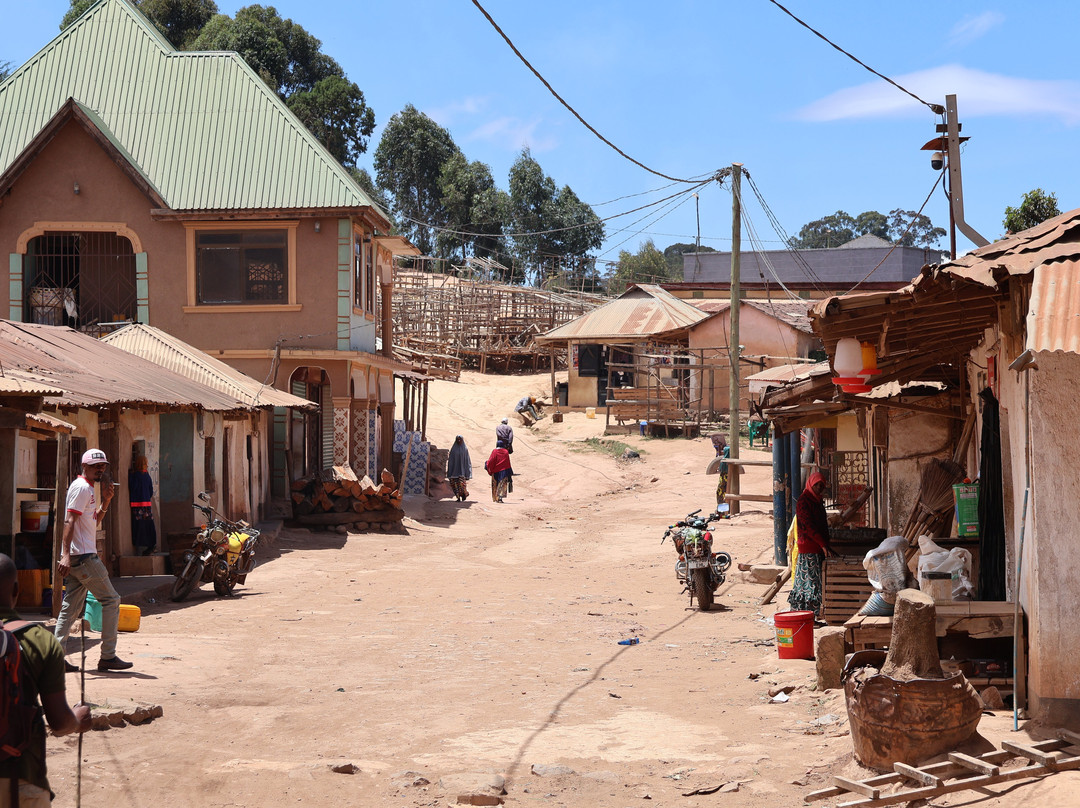 Magamba Eco-cultural Tourism-卢绍托必去景点