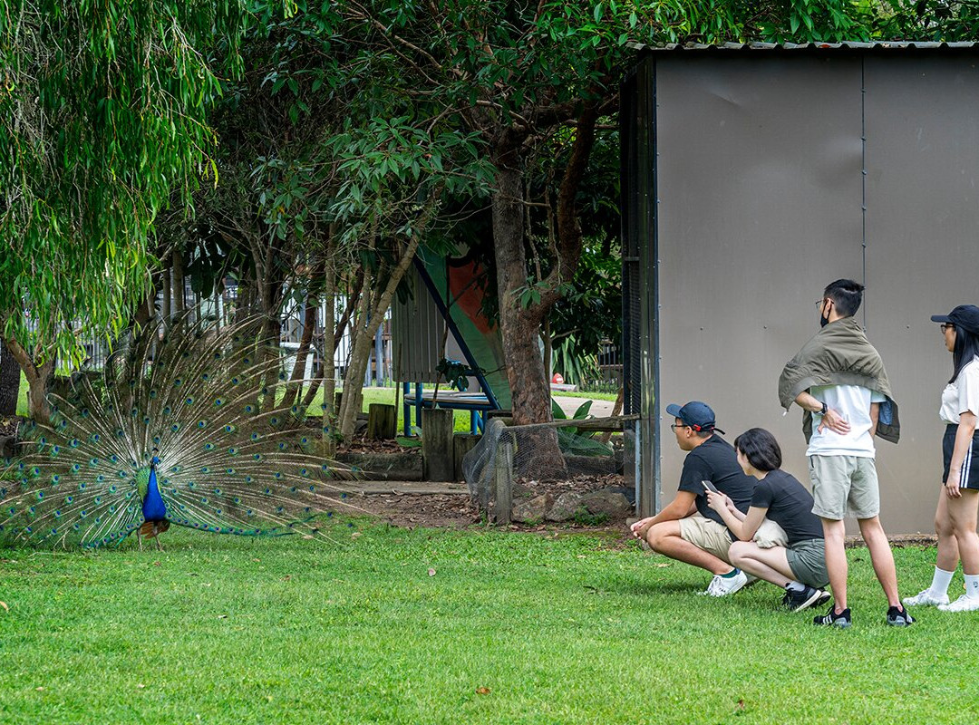 Fraser Coast Wildlife Sanctuary-Maryborough必去景点