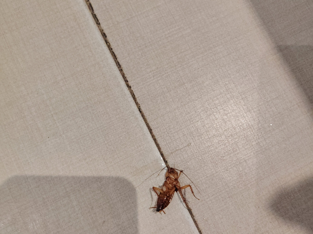 欧瑞芝斯酒店主图