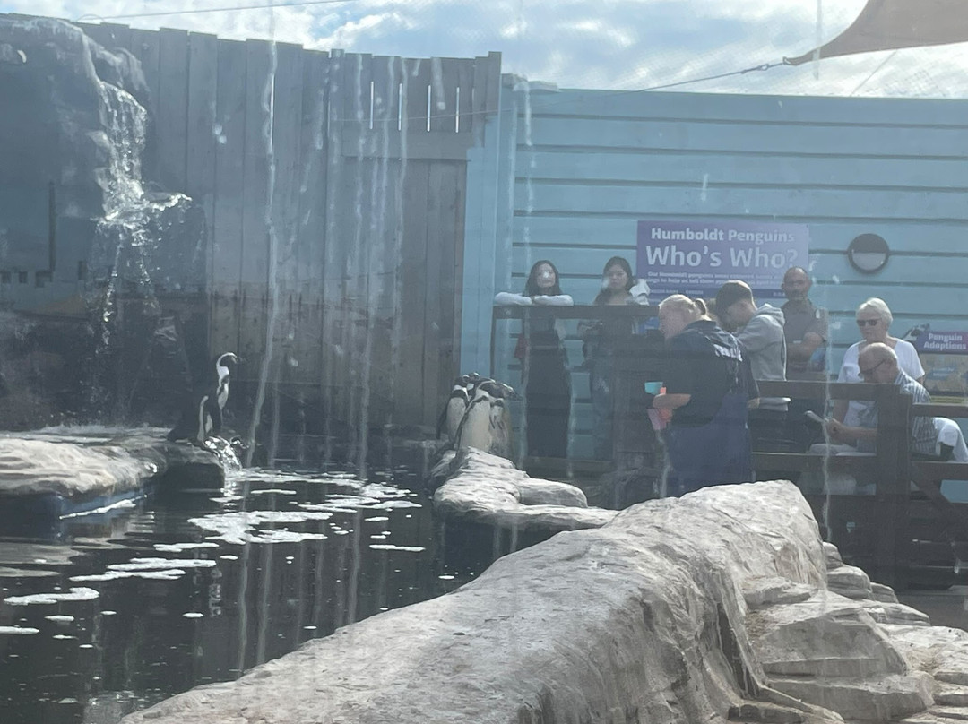 SEA LIFE Hunstanton-Hunstanton必去景点