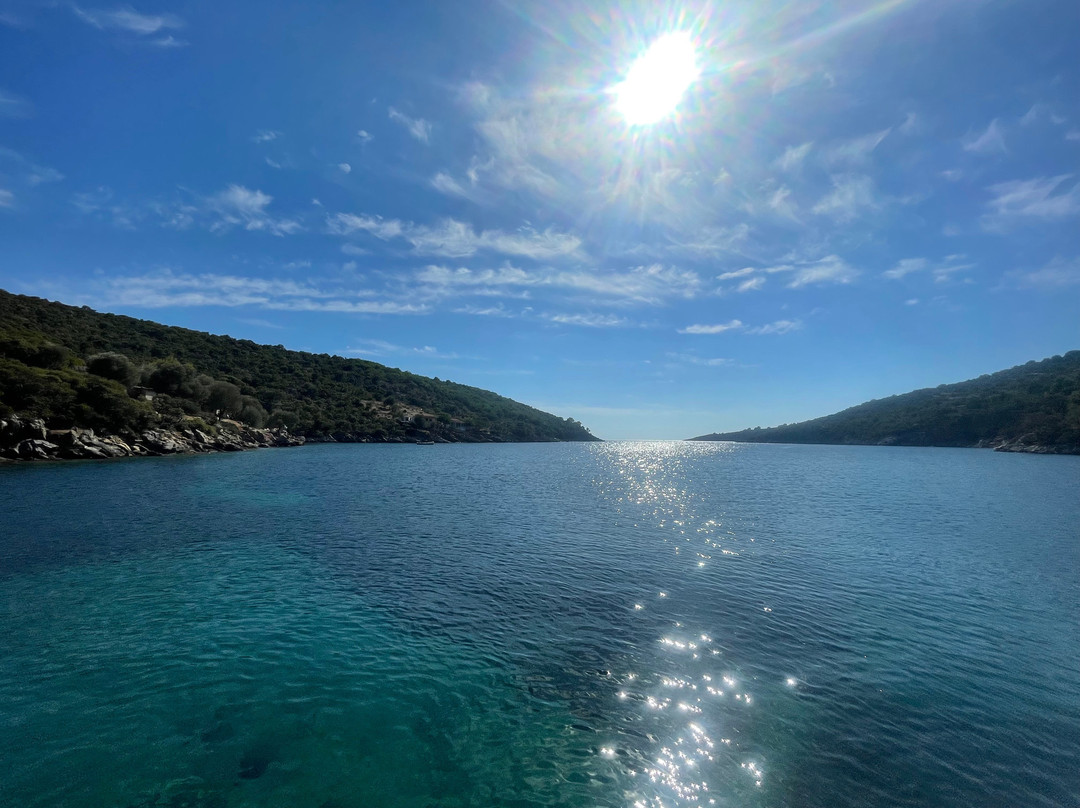 Kalypso Boat Trips Alonissos-Patitiri必去景点